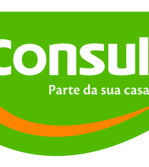 Assistência Técnica Consul