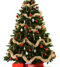 árvores de natal decorada