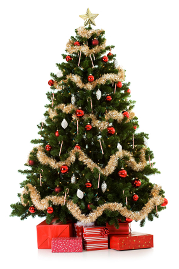 Decoração de Árvore de Natal - 14 Fotos para inspirar Decoração de Árvore de Natal - 14 Fotos para inspirar